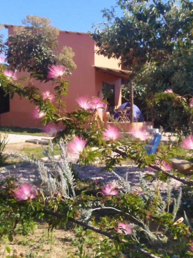 Lobo Guara Hospedagem Loft Alto Paraiso de Goias Exterior photo