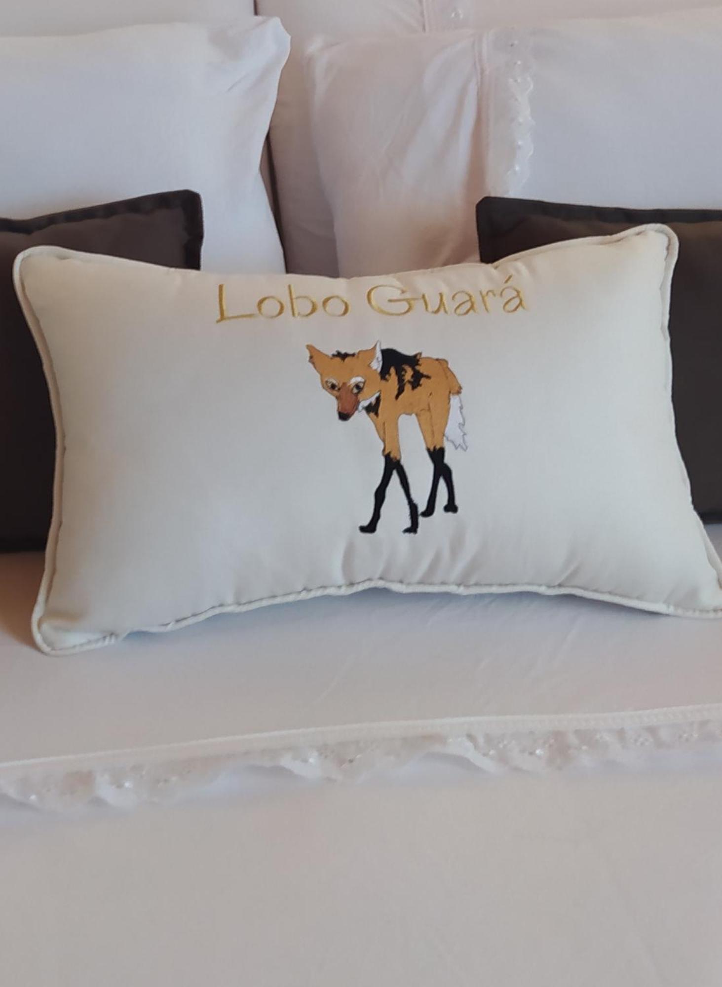 Lobo Guara Hospedagem Loft Alto Paraiso de Goias Exterior photo